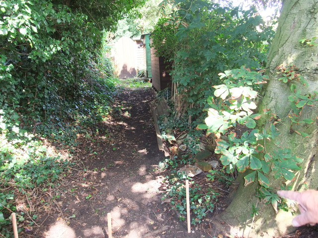 dscf7196.jpg